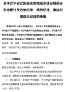 辽宁省辽阳县住房和城乡建设局局长咋总被举