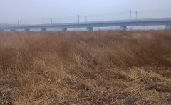 秸秆处理劳务费拖欠六年不给，德惠26个农户