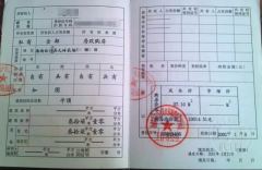 海南一“公章之争”背后：虚假诉讼、假证风