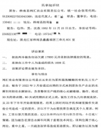 九年务工换一场“诬告”？黑龙江桦南一工人