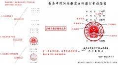山东莱西一龙头民企深陷全链条执法乱象，实